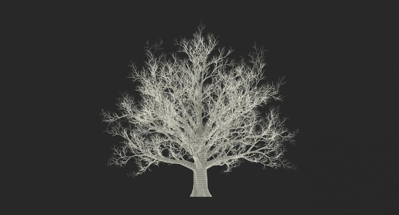 3D model Winter Trees Collection 2