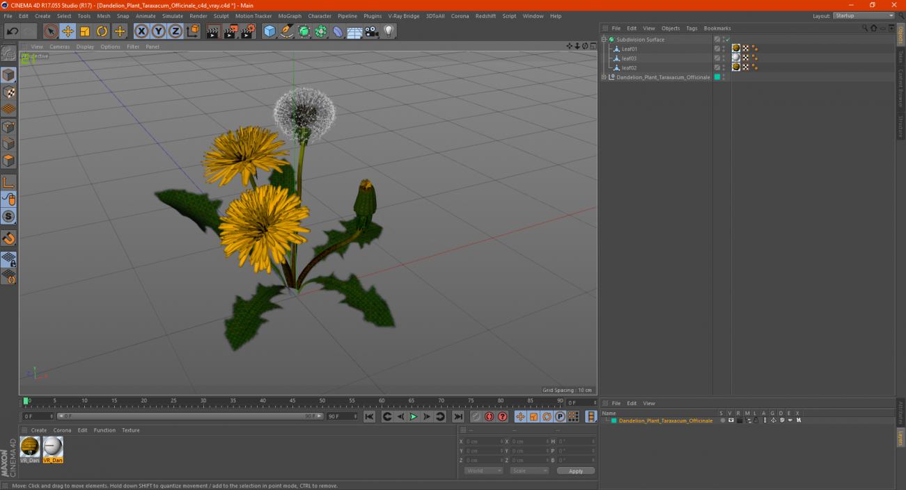 3D Dandelion Plant Taraxacum Officinale