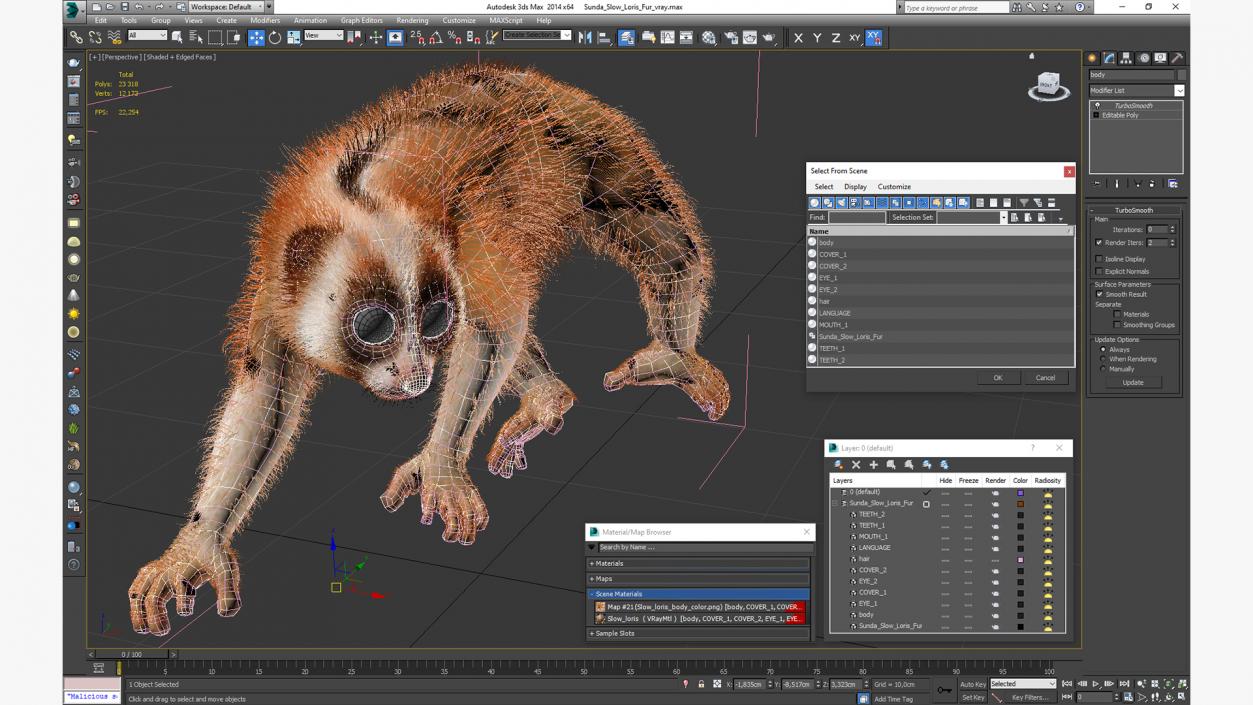 3D model Sunda Slow Loris Fur