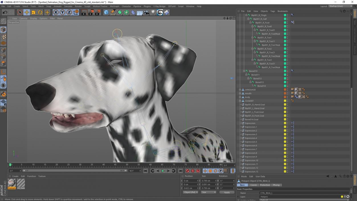 Spotted Dalmatian Dog Rigged for Cinema 4D 2 3D model