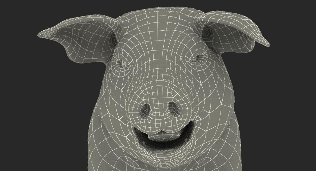 3D Pig Piglet Pietrain Standing Pose model