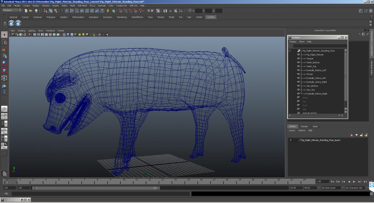 3D Pig Piglet Pietrain Standing Pose model