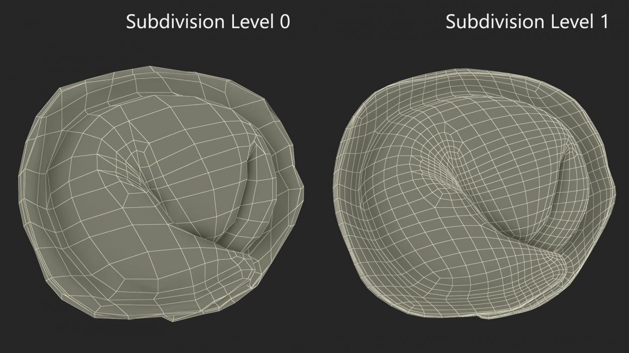 3D model Pelmeni Dumpling Cooked 2