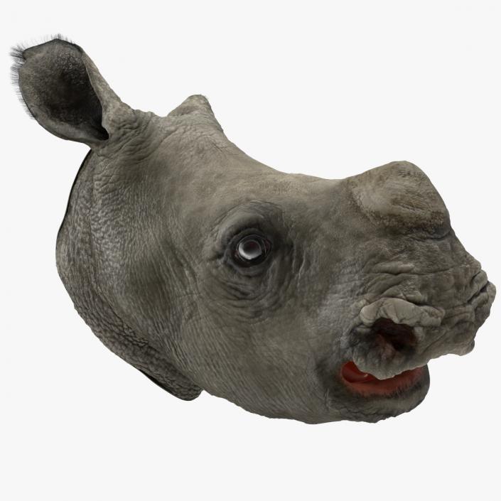 Baby Rhino Head Fur 3D model