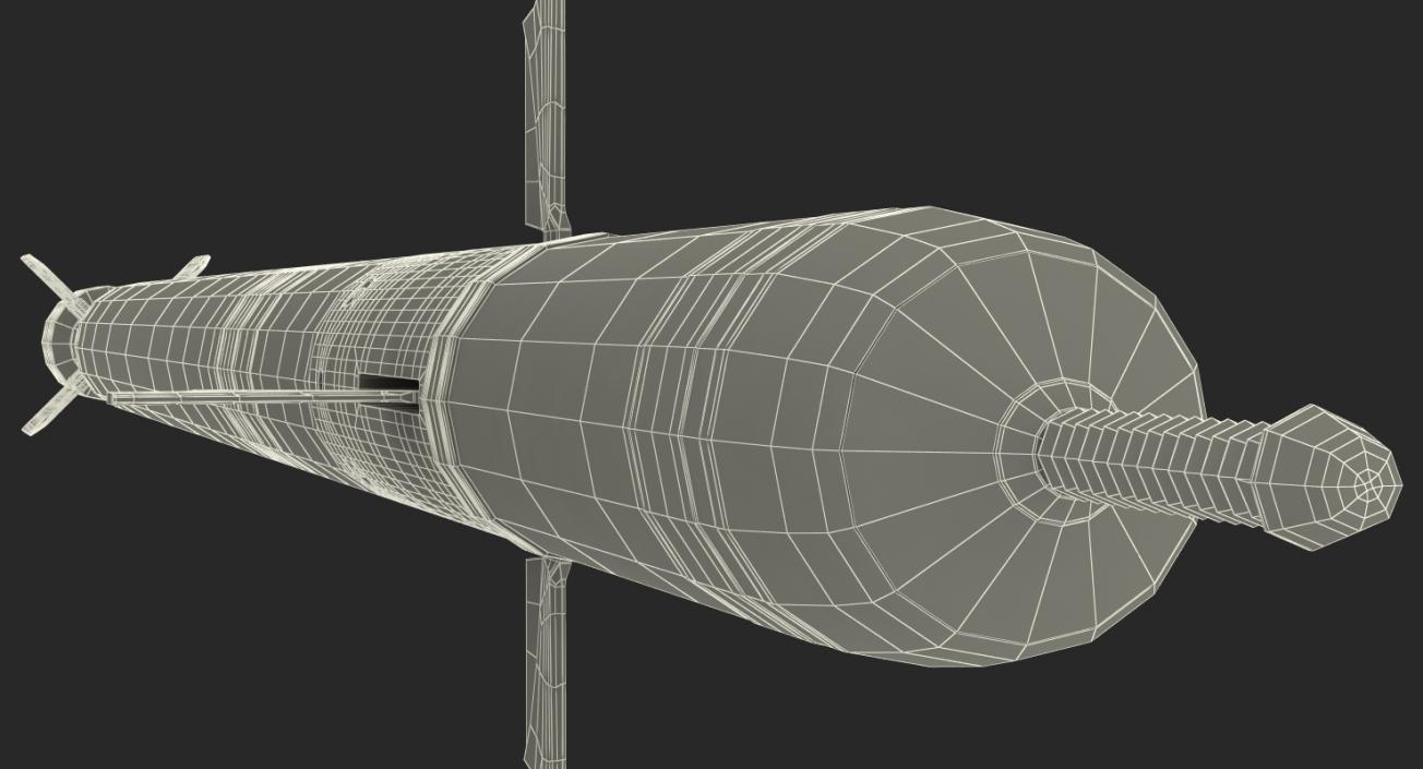 3D SA 18 Grouse Launcher and Missile model