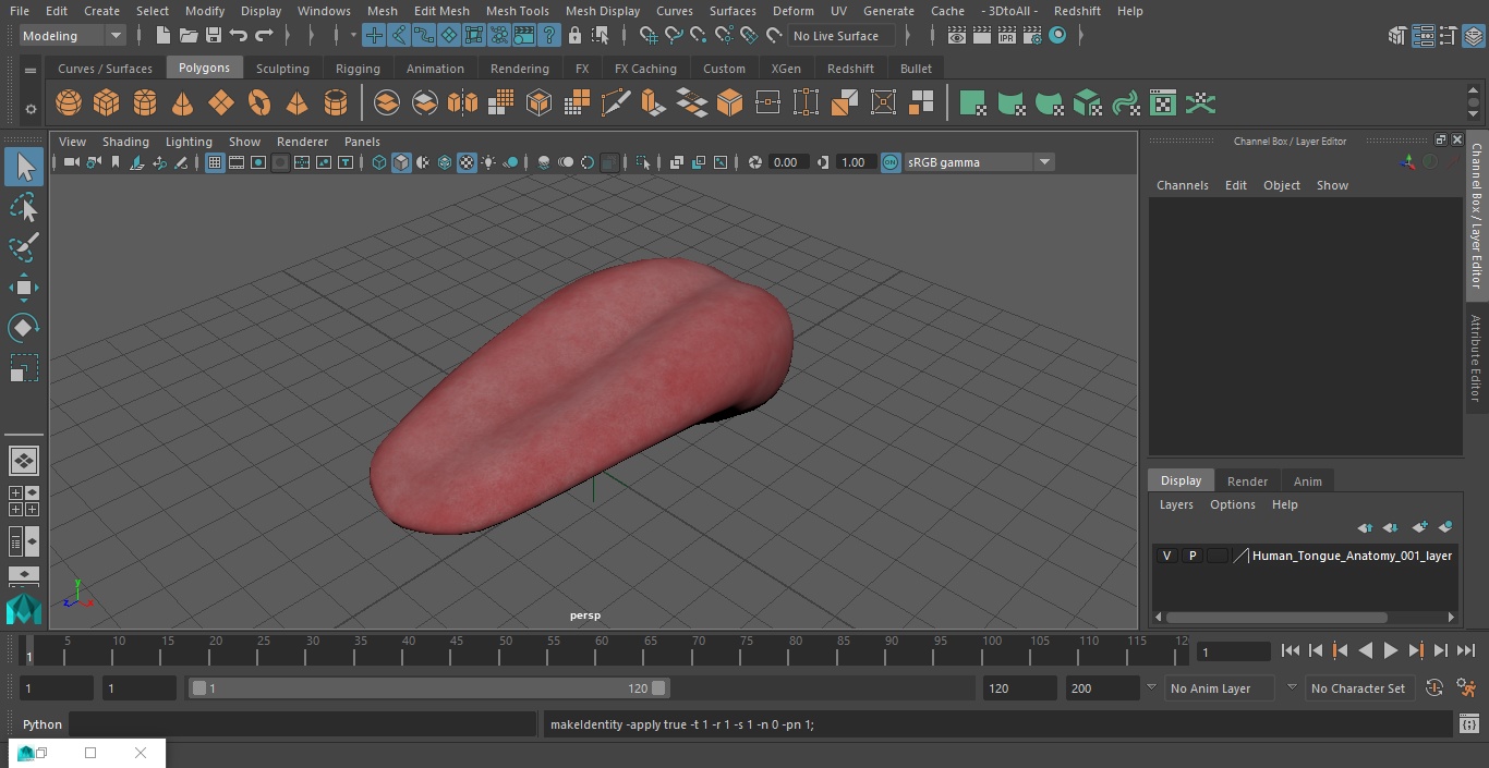 3D model Human Tongue Anatomy