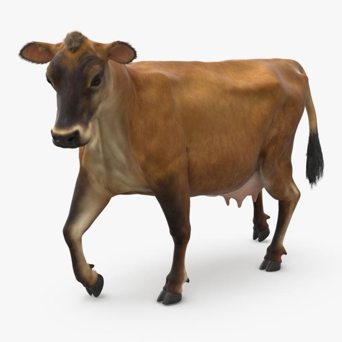 Jersey Dairy Cow Fur Rigged 3D