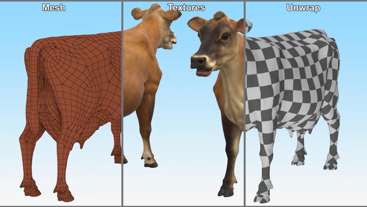 Jersey Dairy Cow Fur Rigged 3D