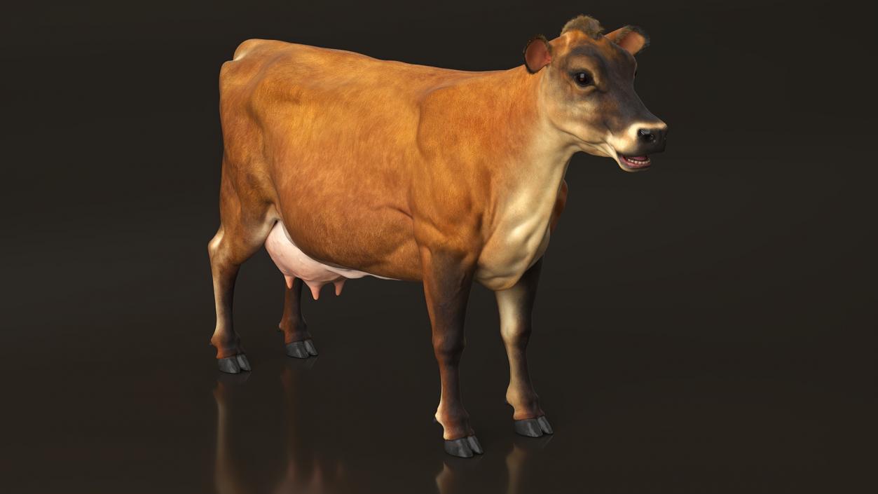 Jersey Dairy Cow Fur Rigged 3D