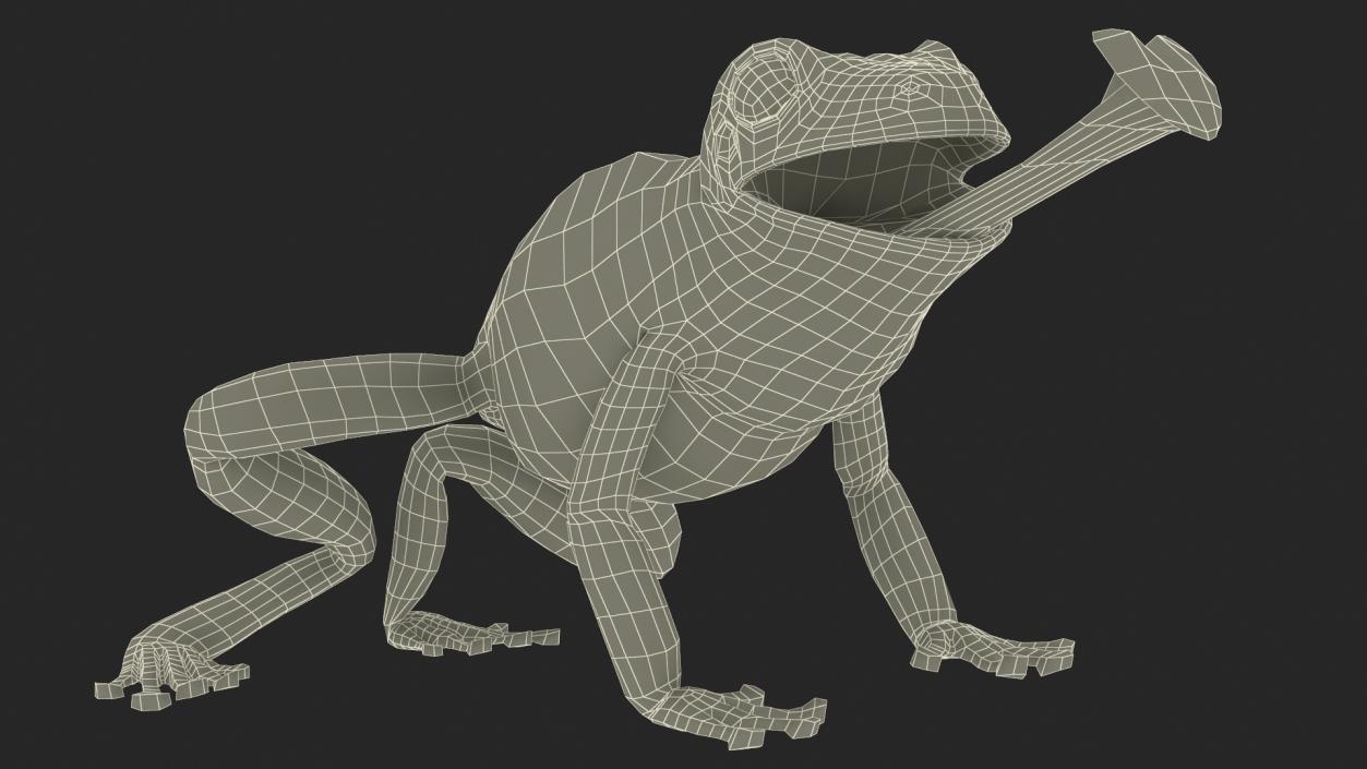 3D Realistic Australian Green Frog Rigged model