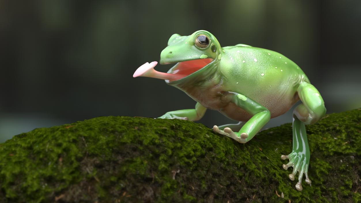 3D Realistic Australian Green Frog Rigged model