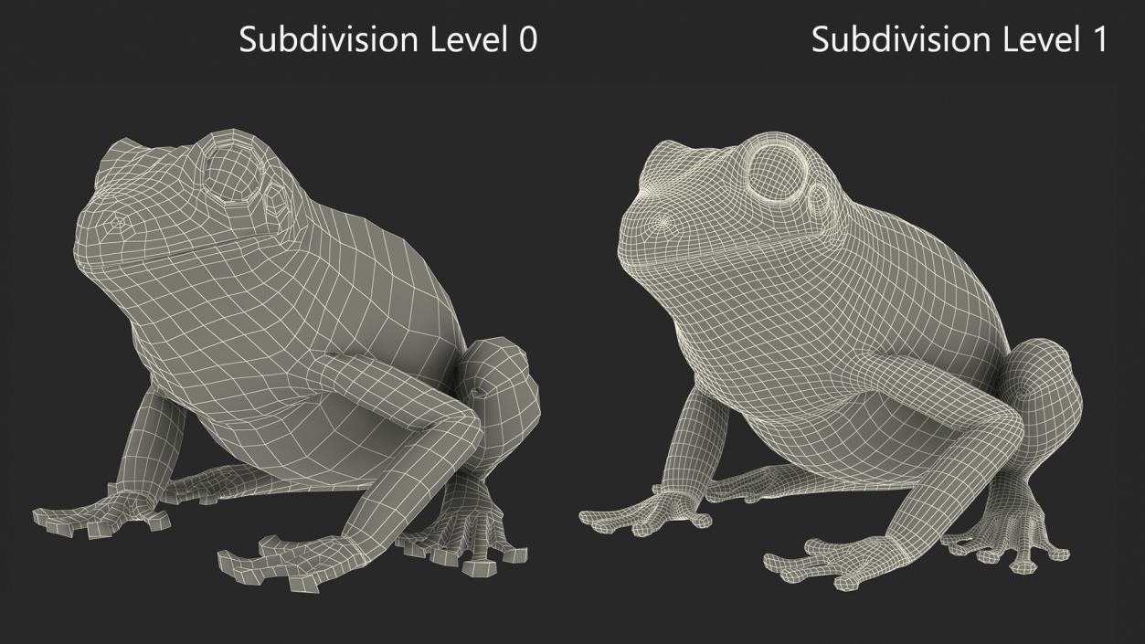 3D Realistic Australian Green Frog Rigged model