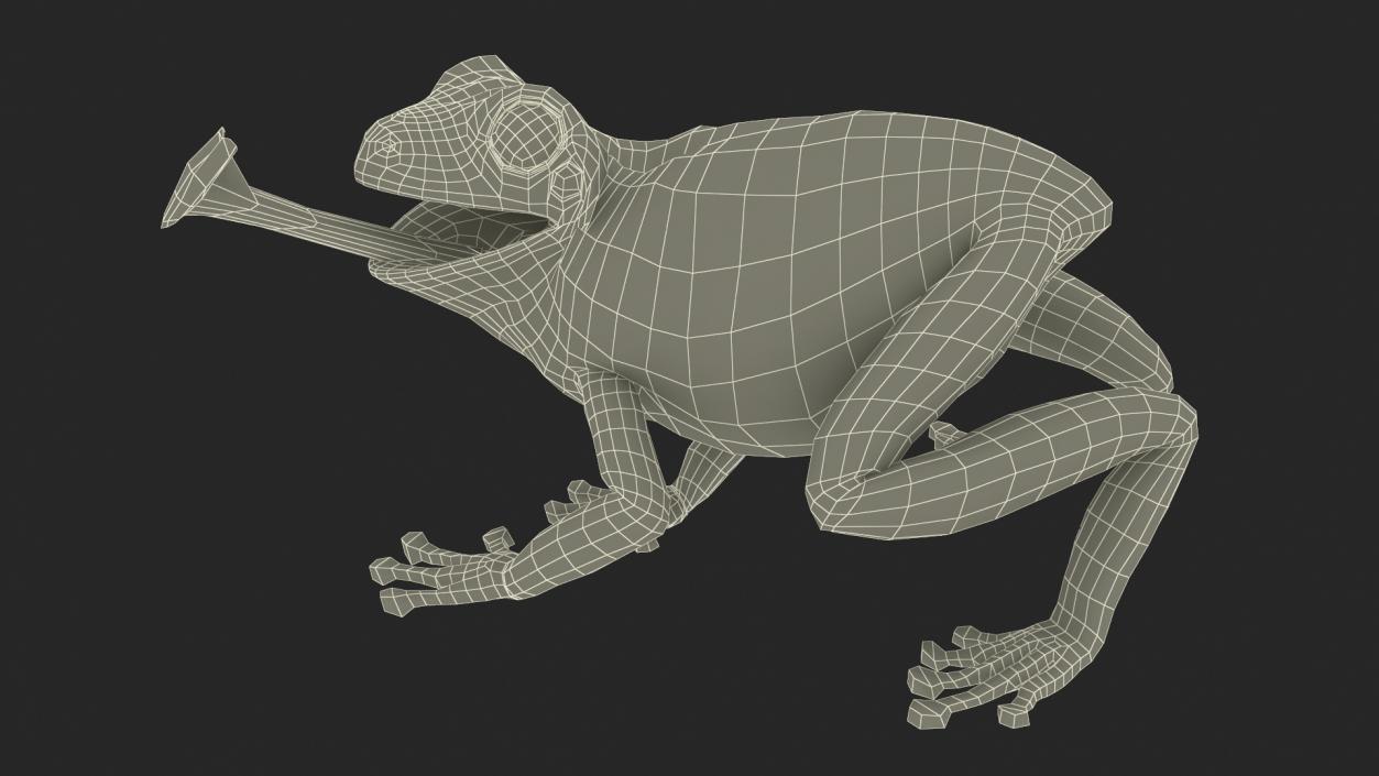 3D Realistic Australian Green Frog Rigged model