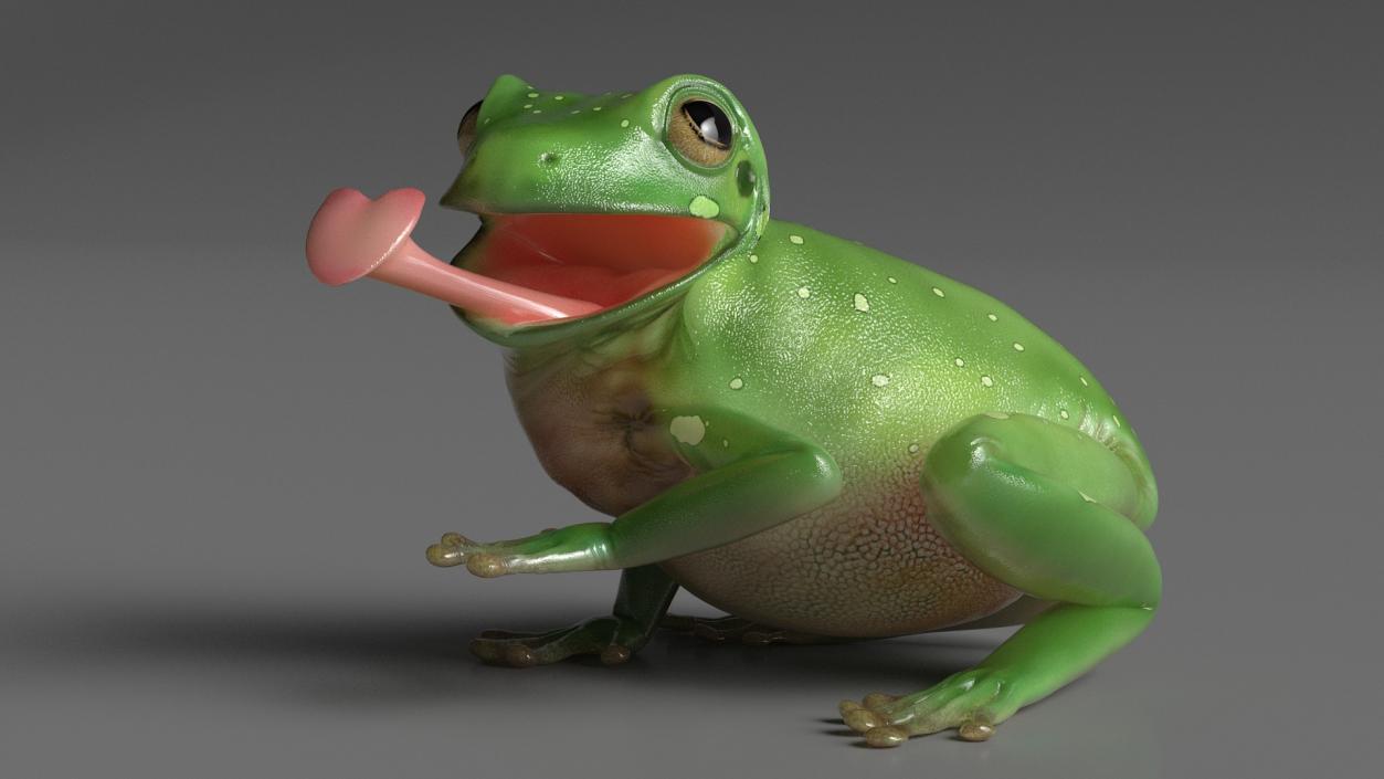 3D Realistic Australian Green Frog Rigged model