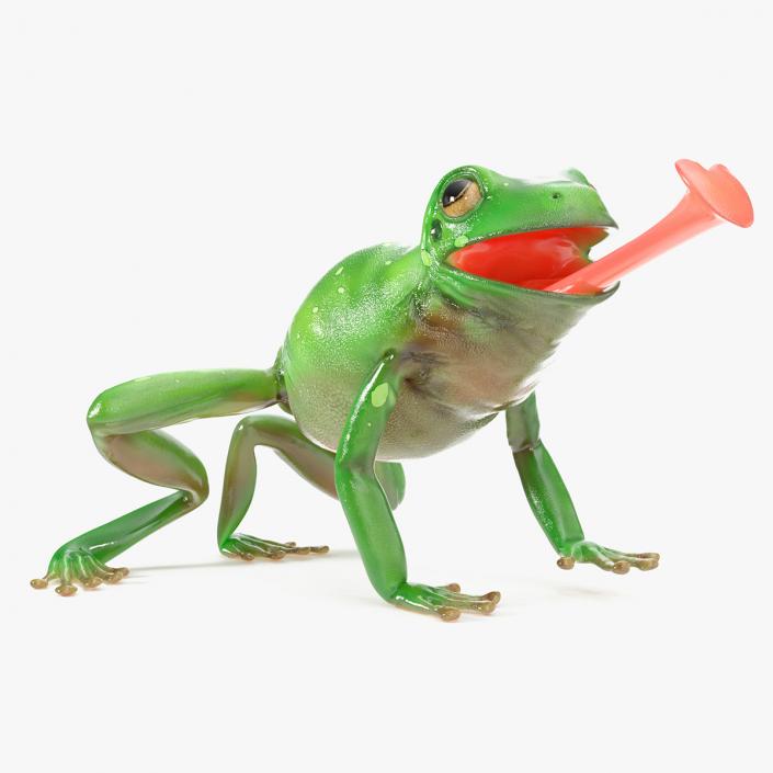 3D Realistic Australian Green Frog Rigged model