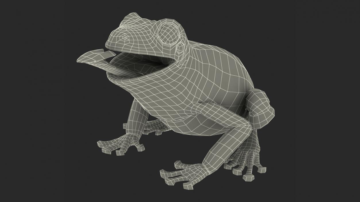 3D Realistic Australian Green Frog Rigged model