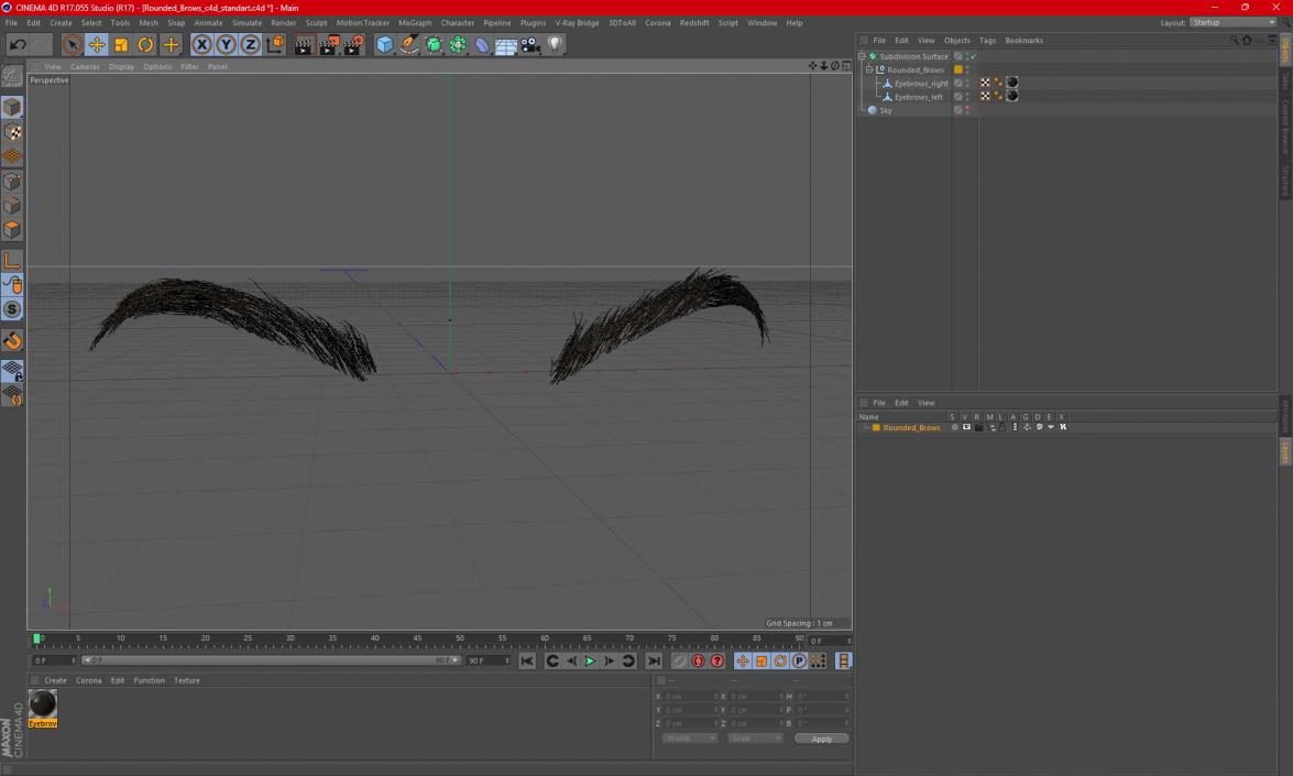 3D Rounded Brows model