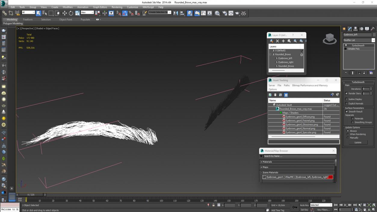 3D Rounded Brows model