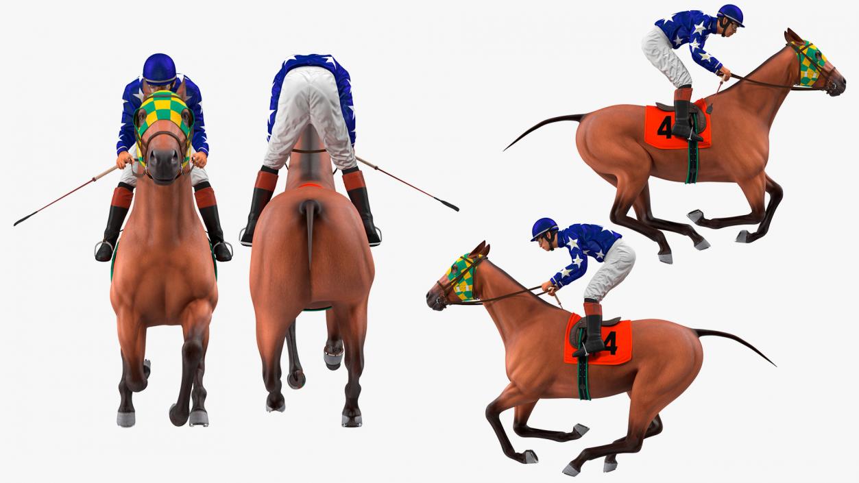 Bay Racing Horse with Jokey Gallop 3D model