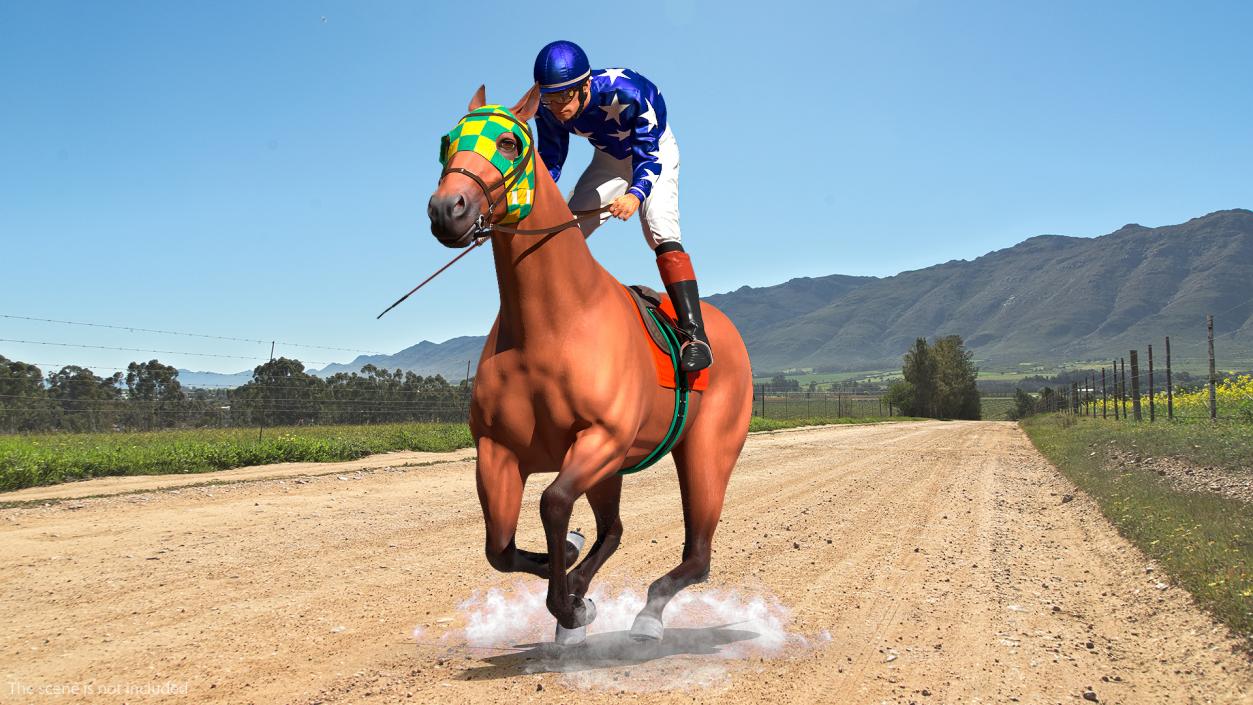 Bay Racing Horse with Jokey Gallop 3D model