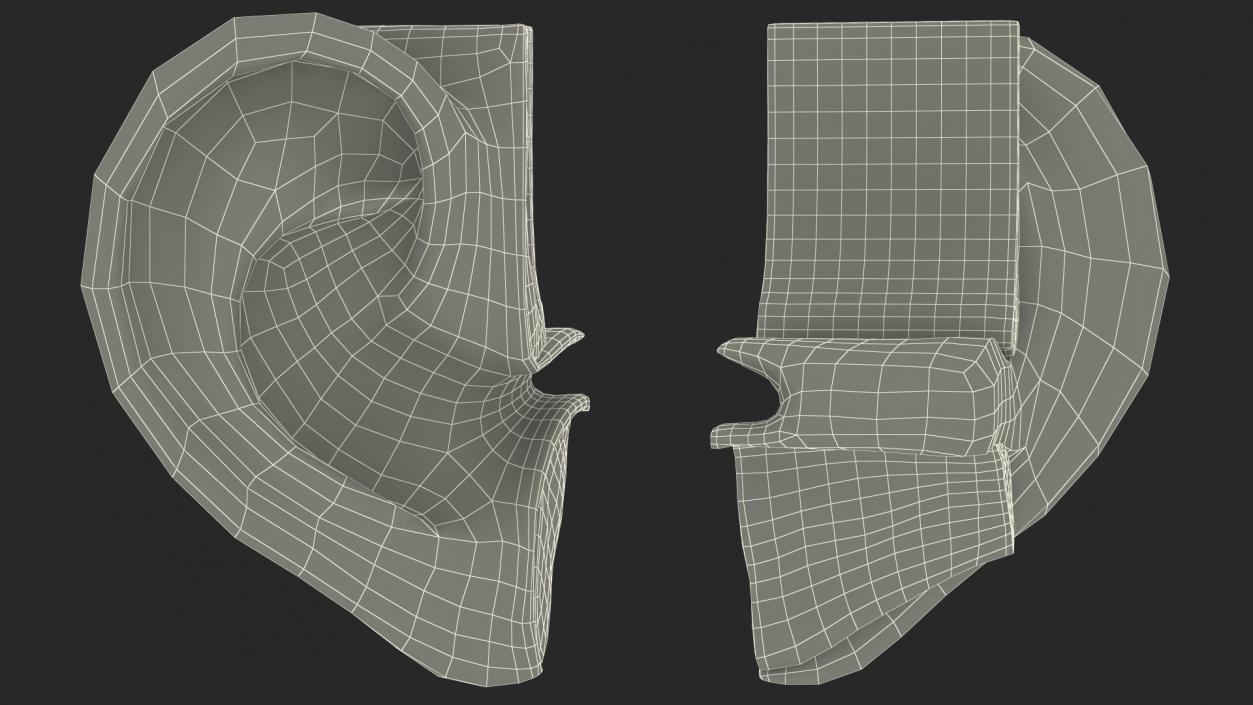 3D Ear Structure model