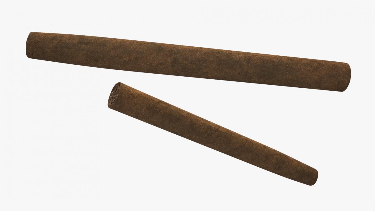 Cigar 3D model