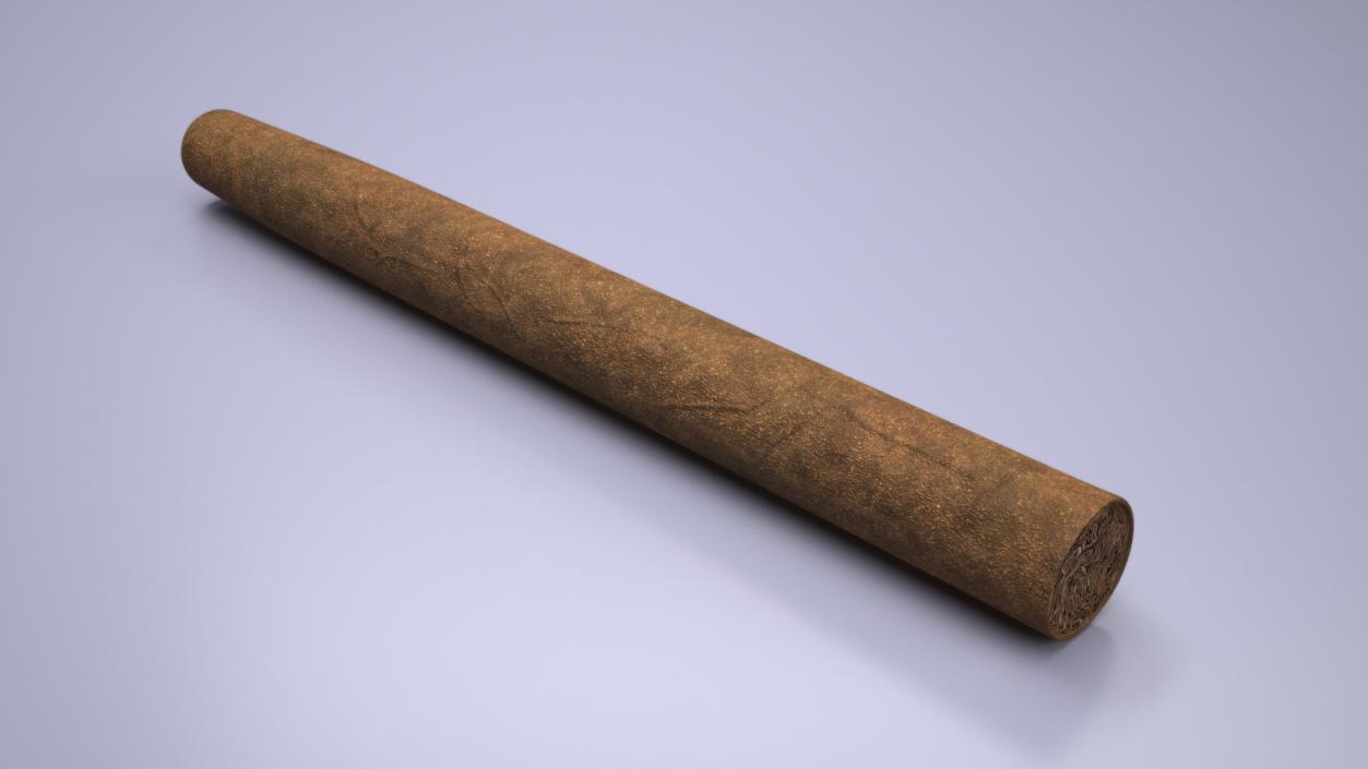 Cigar 3D model