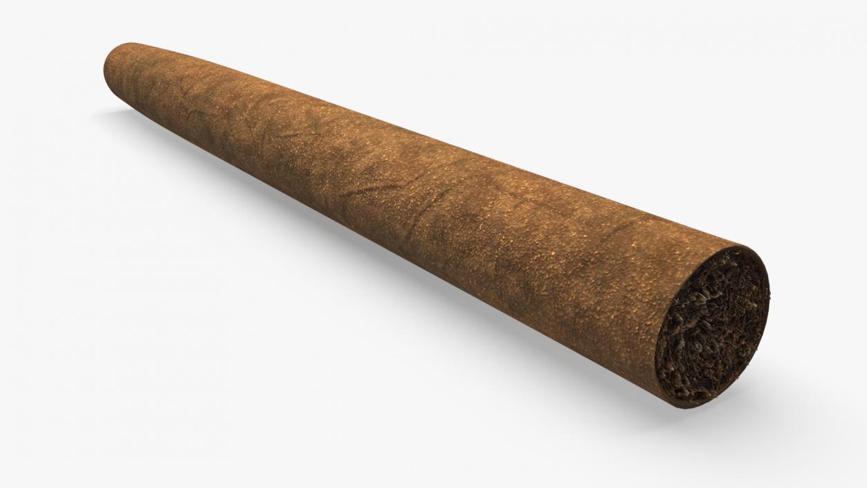 Cigar 3D model