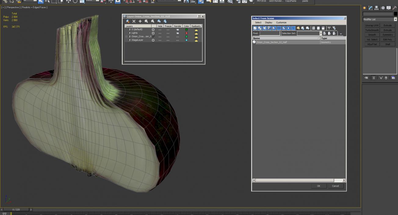 Red Onion Half 3D model