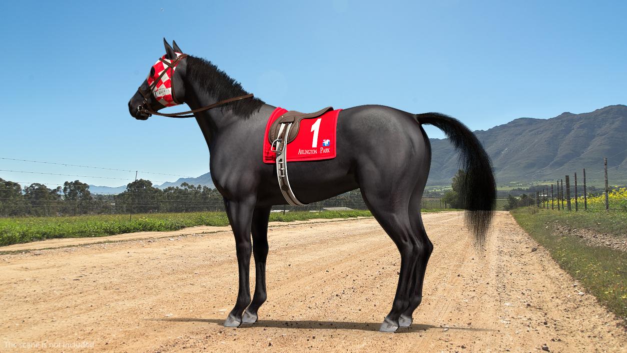 Black Racing Horse Fur 3D