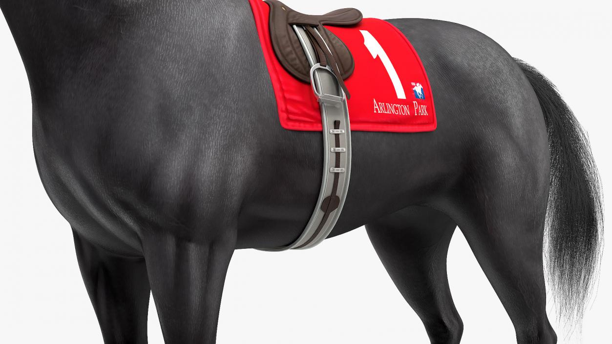 Black Racing Horse Fur 3D