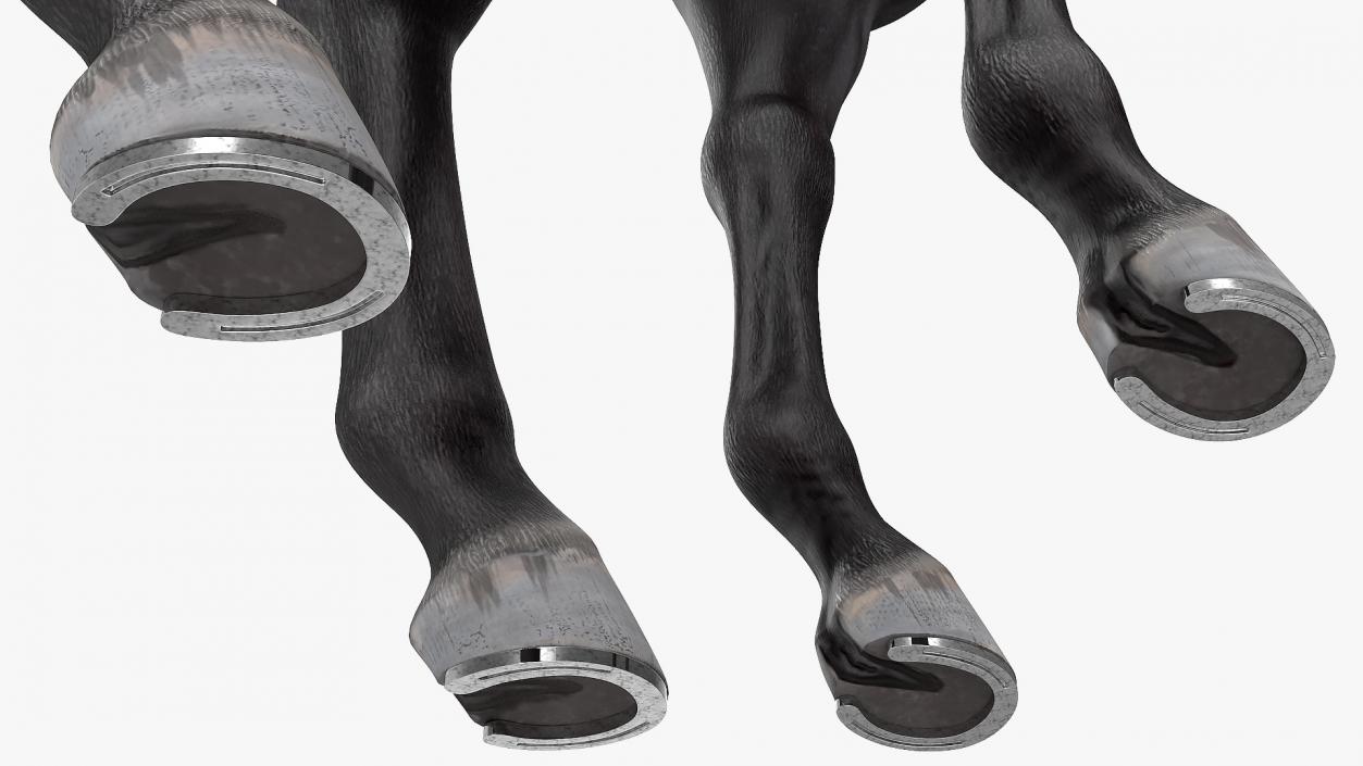 Black Racing Horse Fur 3D