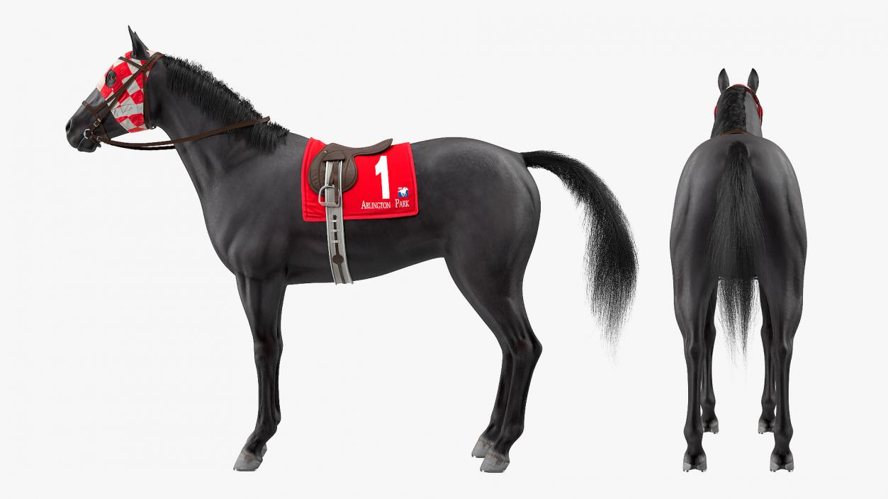 Black Racing Horse Fur 3D