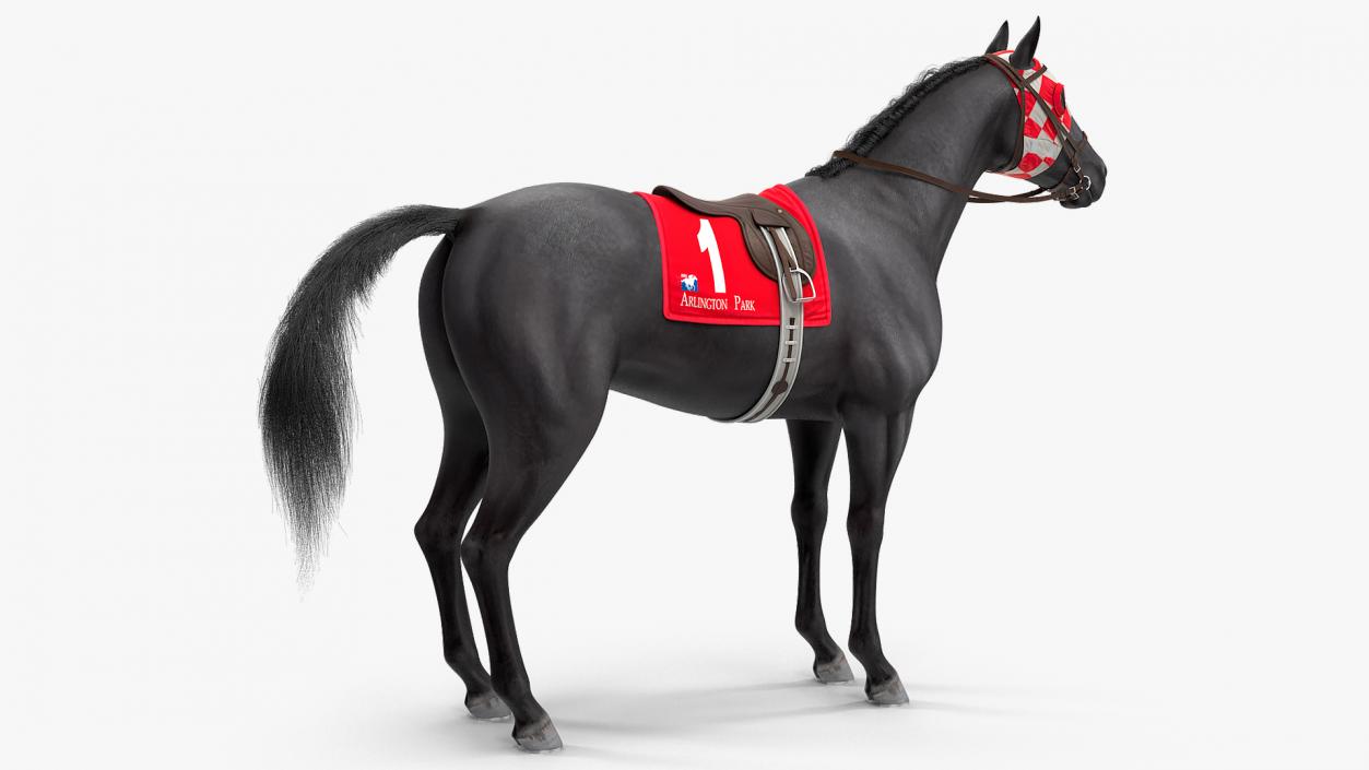 Black Racing Horse Fur 3D