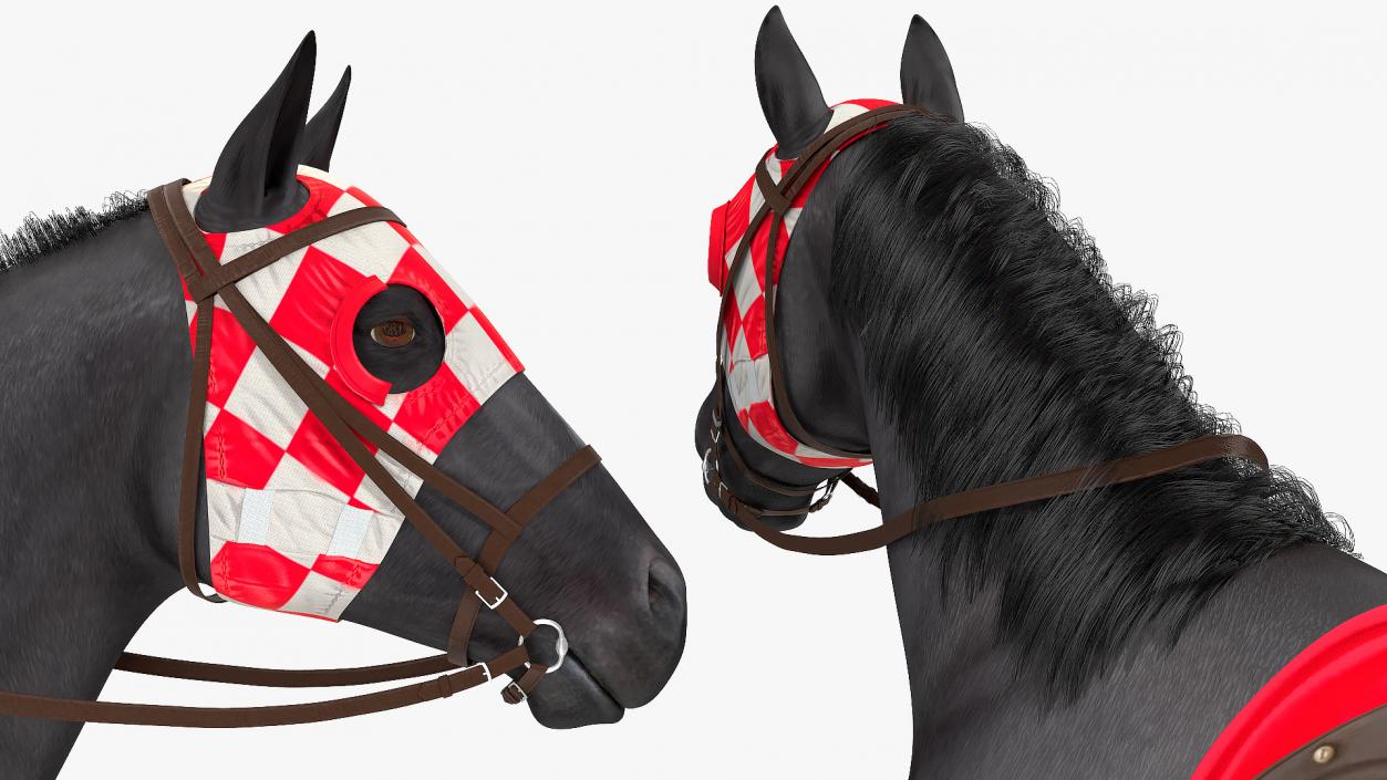 Black Racing Horse Fur 3D