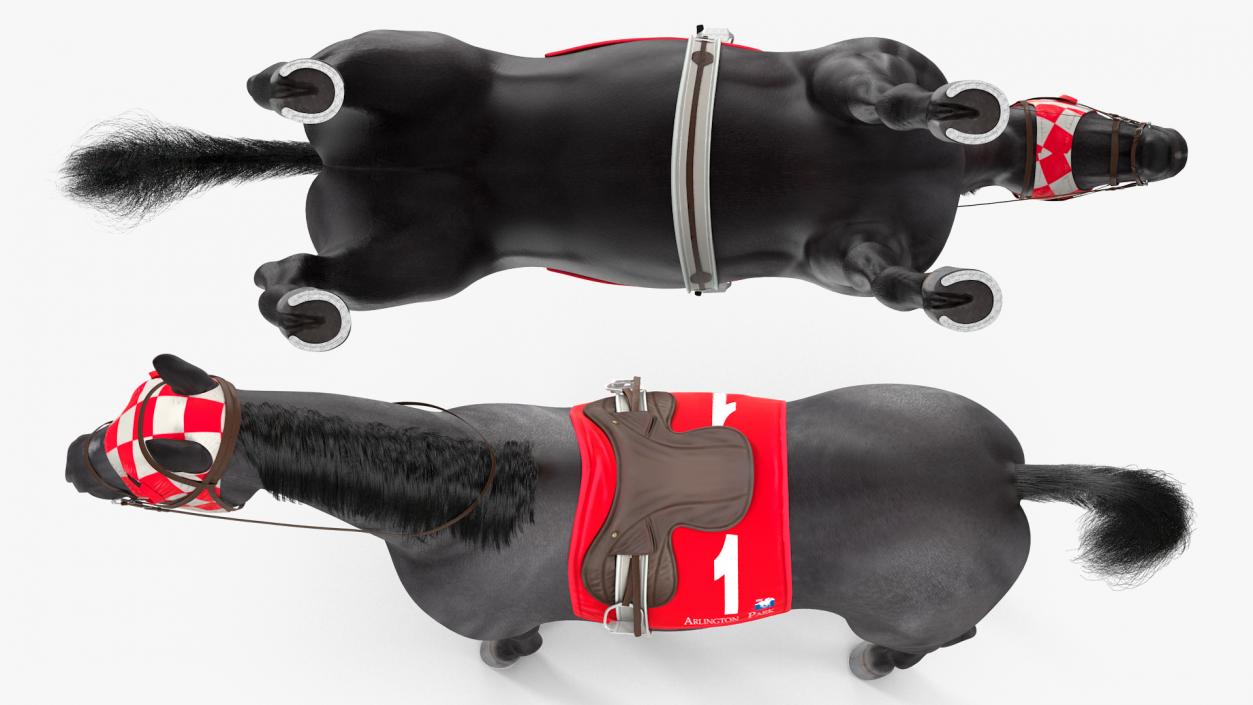 Black Racing Horse Fur 3D