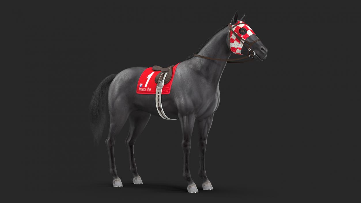 Black Racing Horse Fur 3D