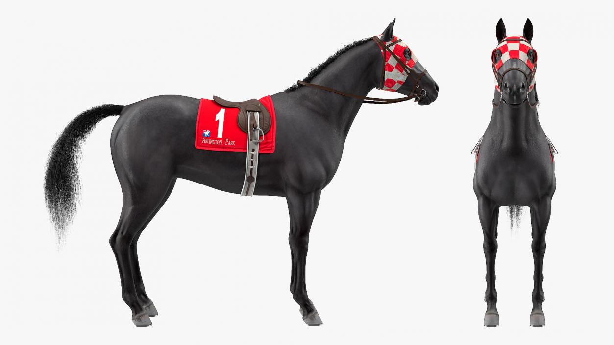 Black Racing Horse Fur 3D