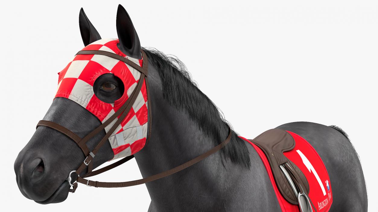 Black Racing Horse Fur 3D