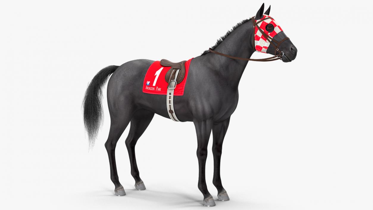 Black Racing Horse Fur 3D