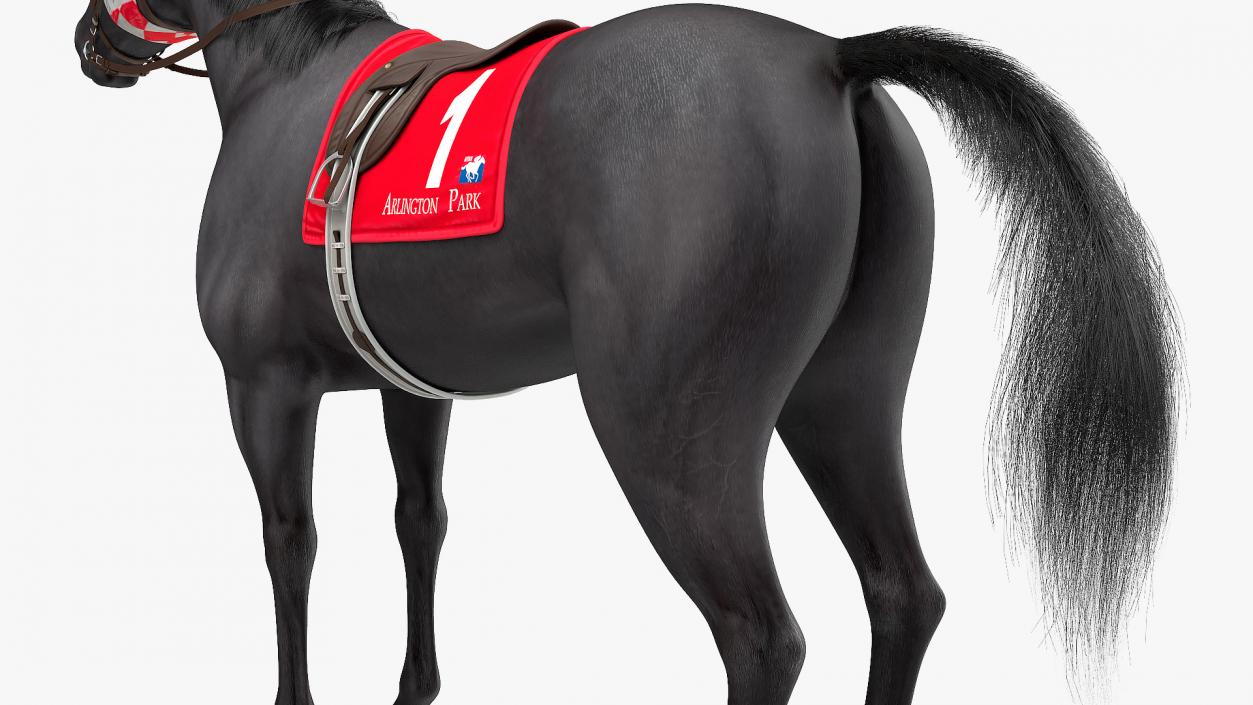 Black Racing Horse Fur 3D