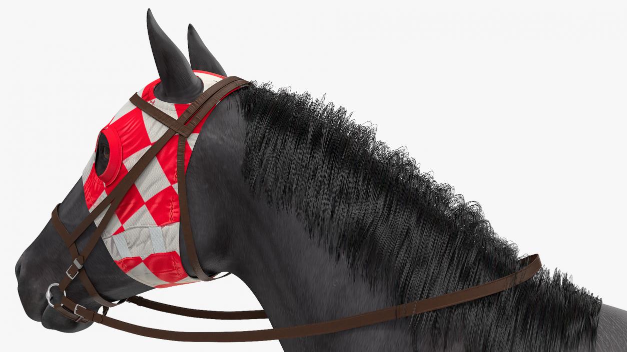 Black Racing Horse Fur 3D