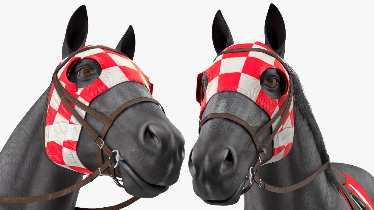 Black Racing Horse Fur 3D