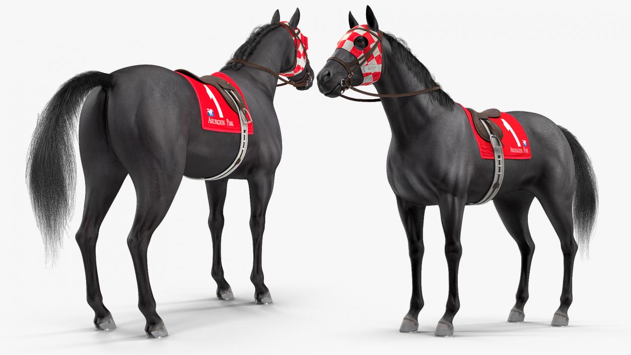 Black Racing Horse Fur 3D