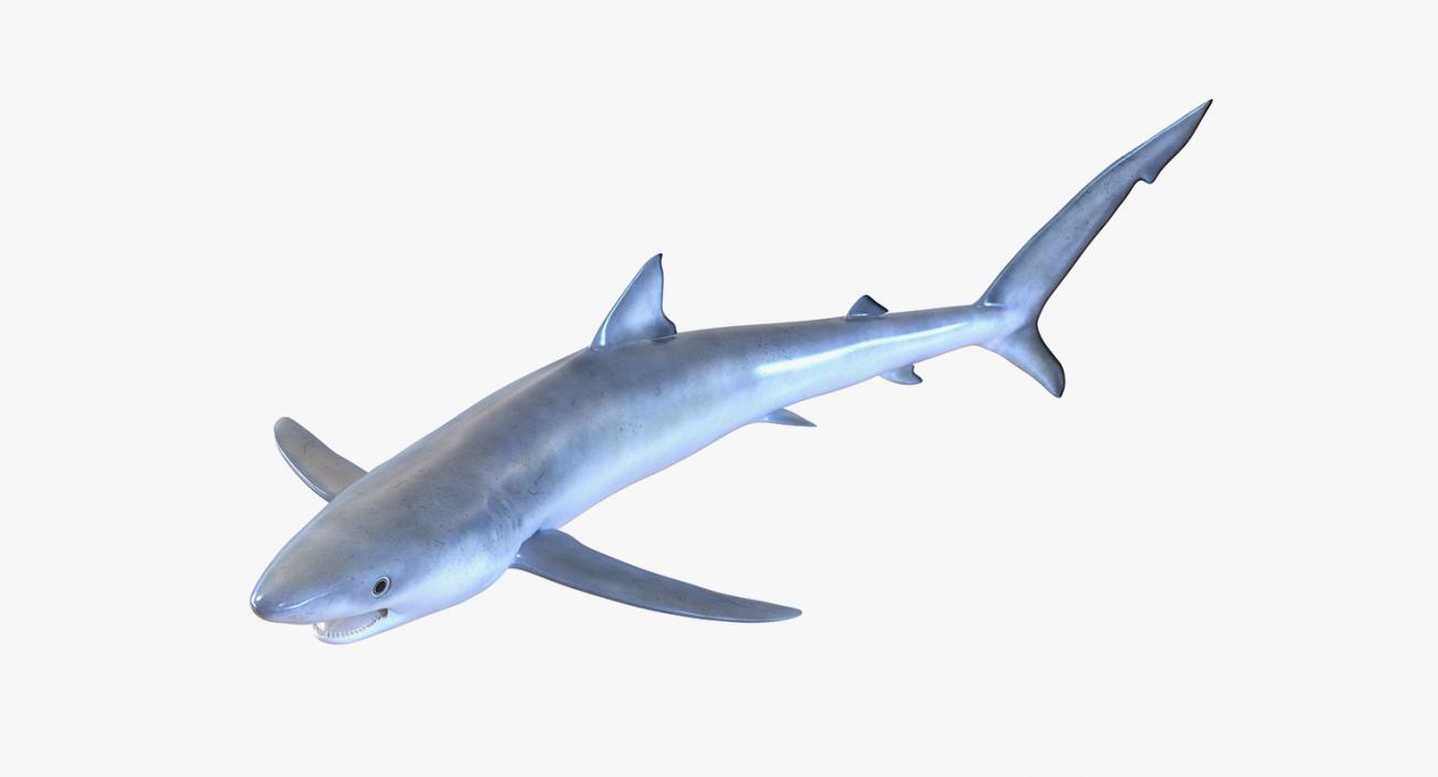 3D Rigged Sharks Collection 2