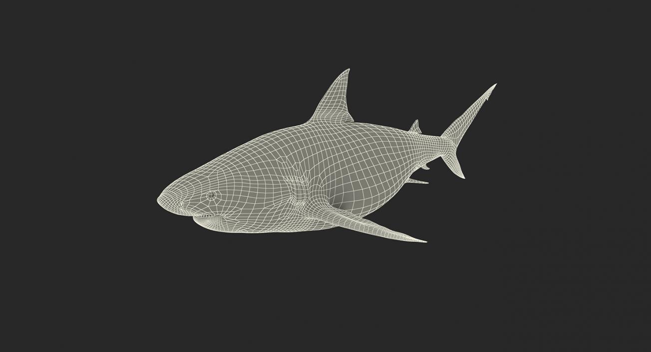 3D Rigged Sharks Collection 2