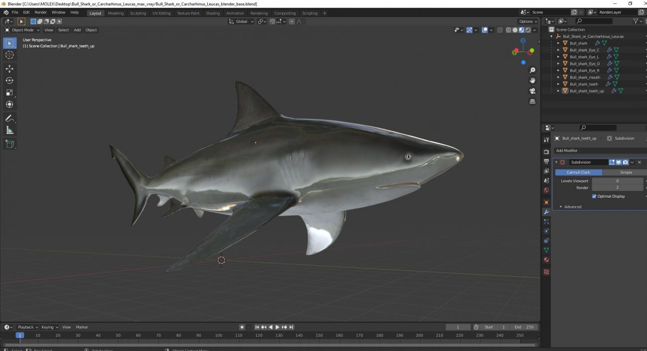 3D Bull Shark or Carcharhinus Leucas model