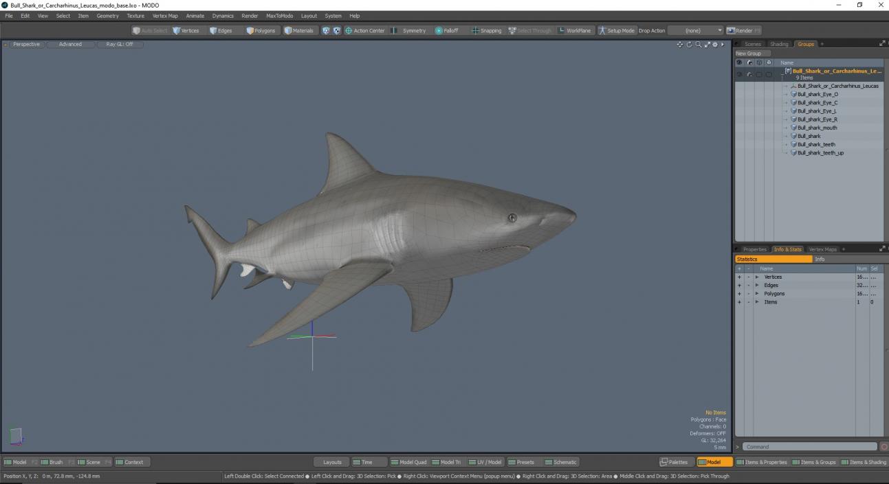 3D Bull Shark or Carcharhinus Leucas model