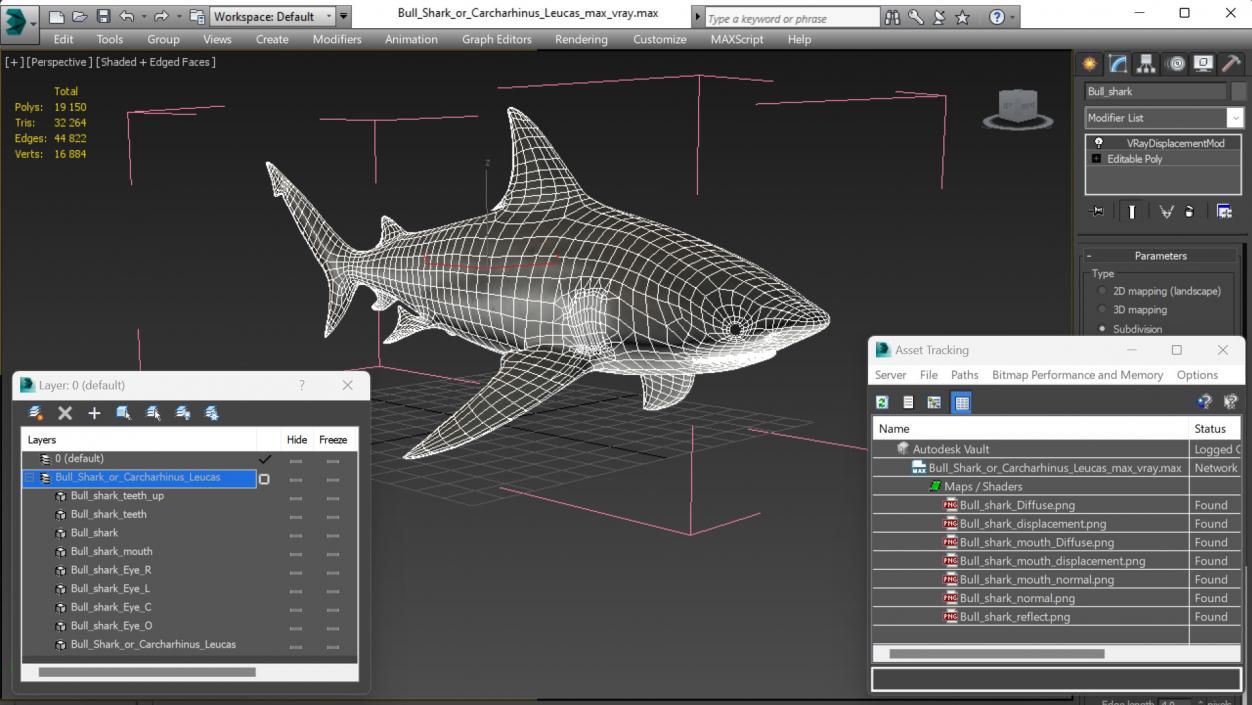 3D Bull Shark or Carcharhinus Leucas model