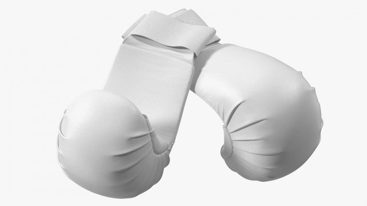 Sports Karate Gloves Lying White 3D